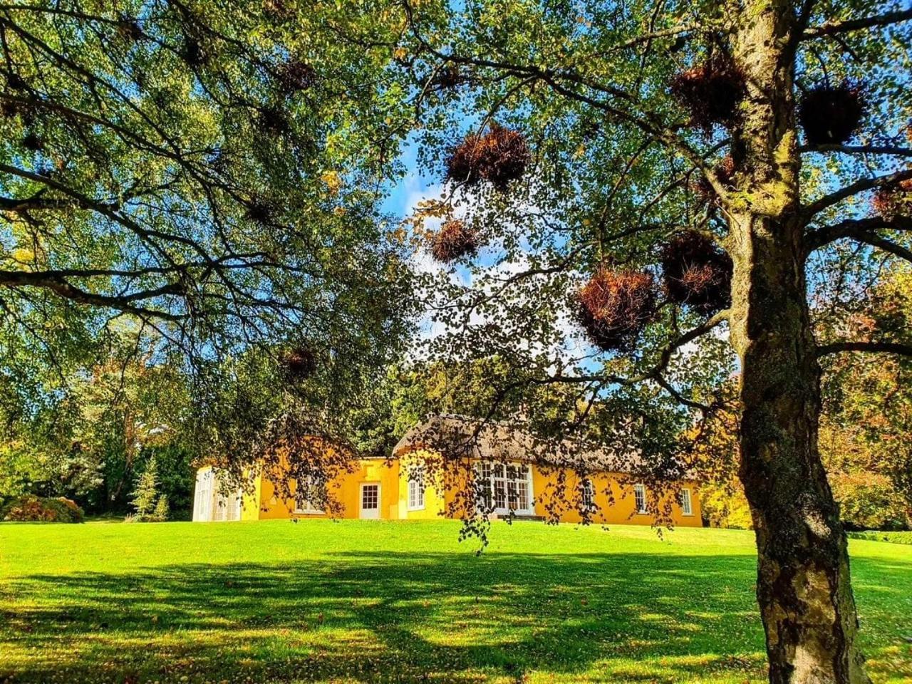 Готель The Nest Ньюрі Екстер'єр фото